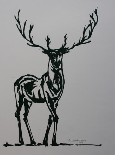 Deer1